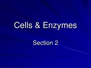 Cells &amp; Enzymes