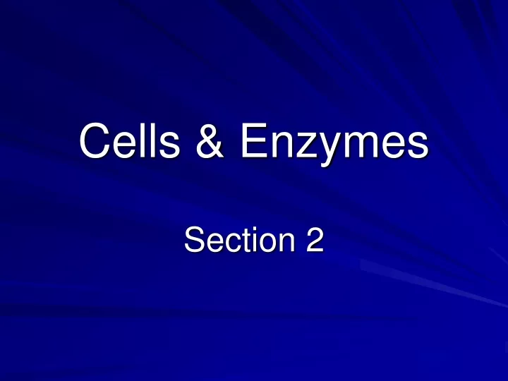 cells enzymes