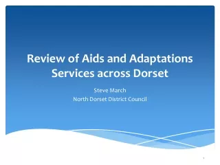 Review of Aids and Adaptations Services across Dorset