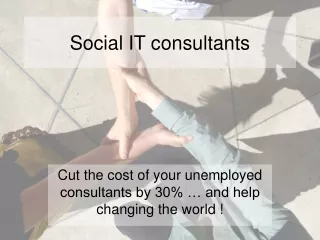 Social IT consultants