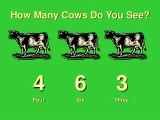 How Many Cows Do You See?