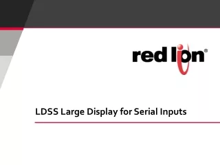 LDSS Large Display for Serial  Inputs