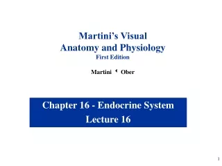 Chapter 16 - Endocrine System Lecture 16
