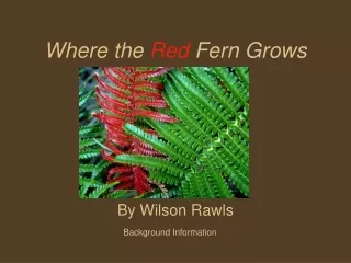 Where the  Red  Fern Grows