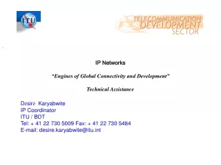 IP Networks  “Engines of Global Connectivity and Development” Technical Assistance