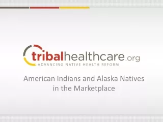 American Indians and Alaska Natives  in the Marketplace
