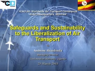 Safeguards and Sustainability to the Liberalization of Air Transport