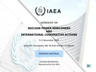 WORKSHOP ON NUCLEAR POWER NEWCOMERS AND INTERNATIONAL COOPERATIVE ACTIONS