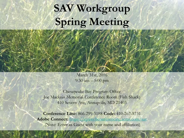 sav workgroup spring meeting