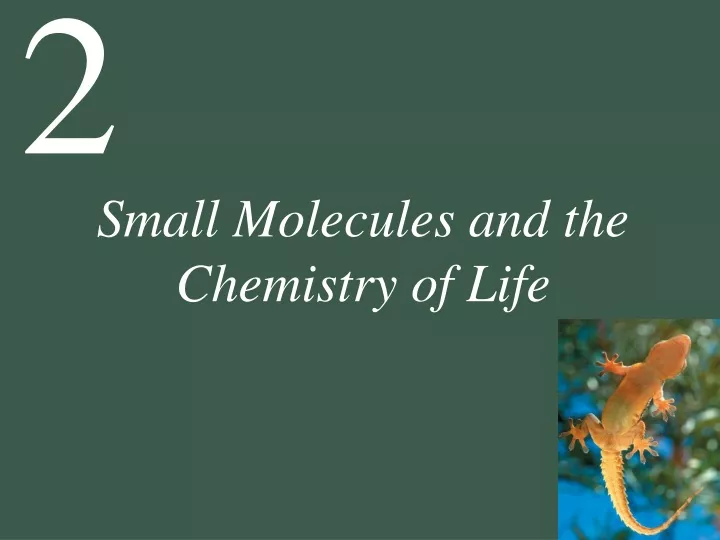 small molecules and the chemistry of life