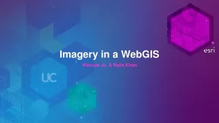 Imagery in a WebGIS