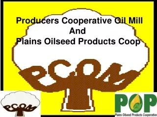 Producers Cooperative Oil Mill                       And Plains Oilseed Products Coop