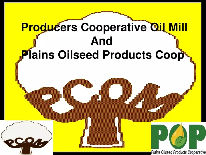 producers cooperative oil mill and plains oilseed