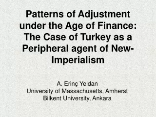 A. Erinç Yeldan University of Massachusetts, Amherst Bilkent University , Ankara