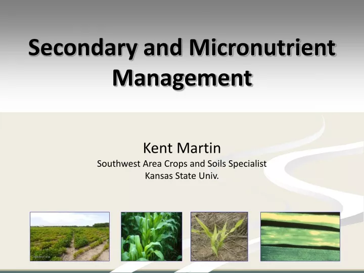 secondary and micronutrient management