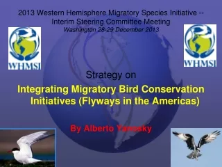 Strategy on  Integrating Migratory Bird Conservation Initiatives (Flyways in the Americas)