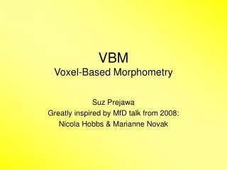 VBM Voxel-Based Morphometry