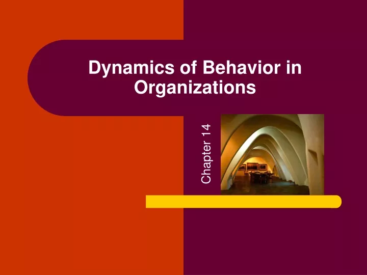 dynamics of behavior in organizations