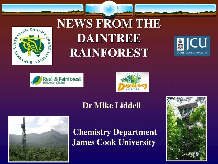 news from the daintree rainforest