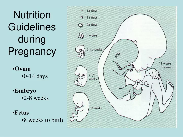 nutrition guidelines during pregnancy