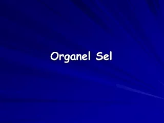 Organel Sel