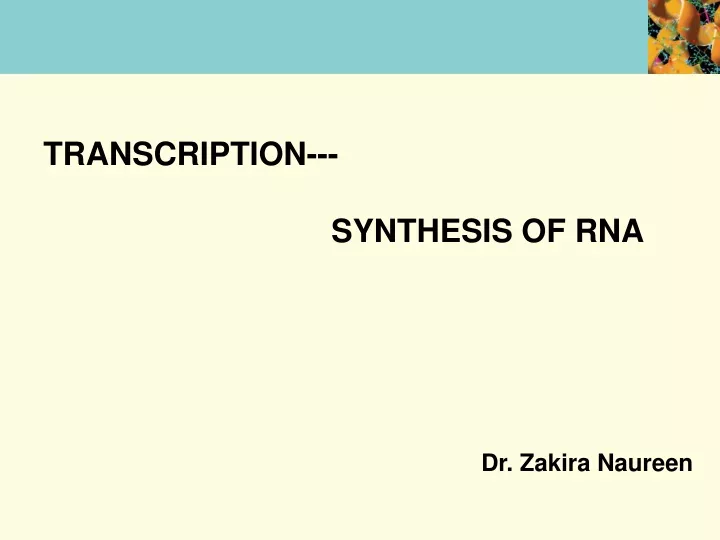 transcription synthesis of rna
