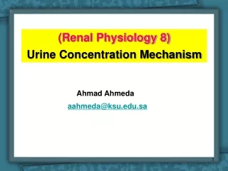 renal physiology 8 urine concentration mechanism