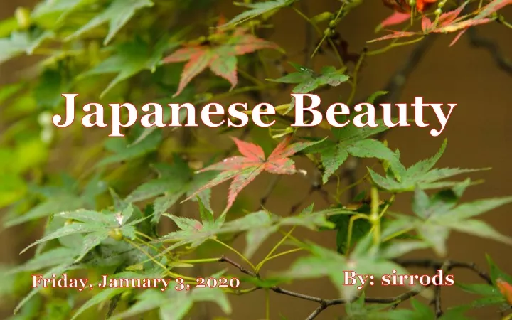 japanese beauty