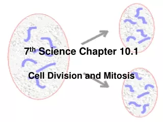 7 th  Science Chapter 10.1