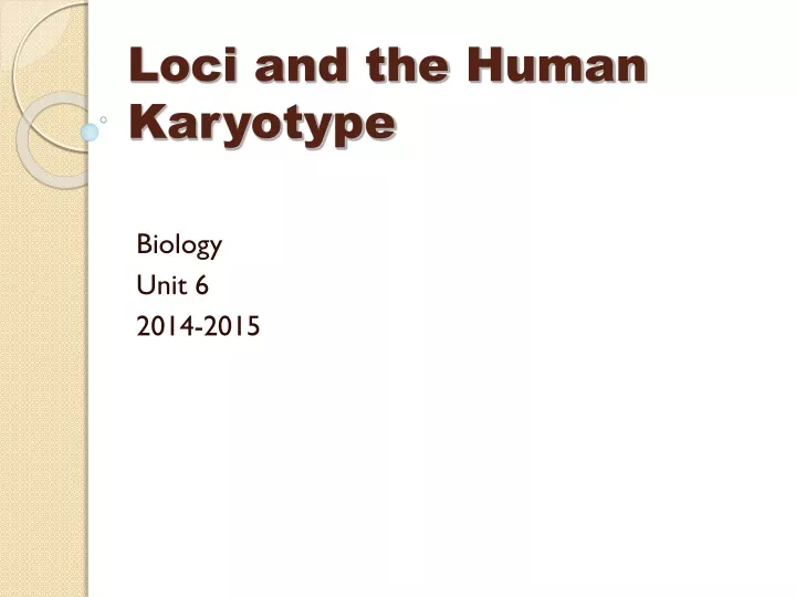 loci and the human karyotype