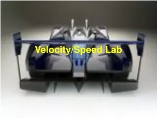 Velocity/Speed Lab
