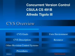 CVS Overview