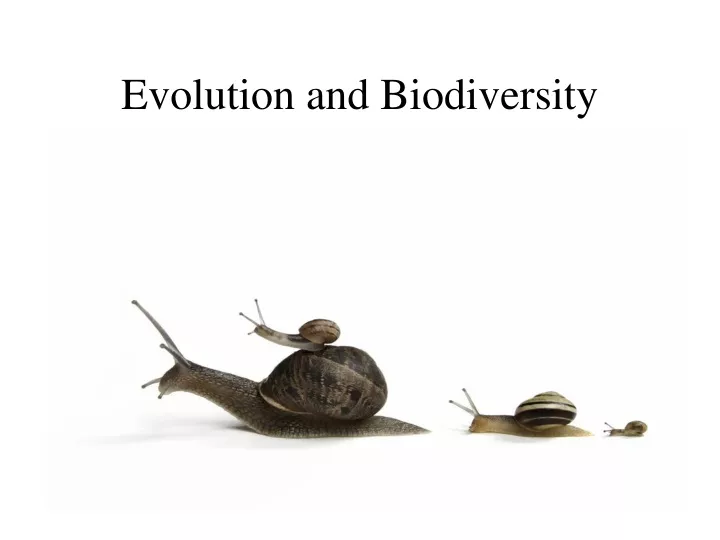 evolution and biodiversity