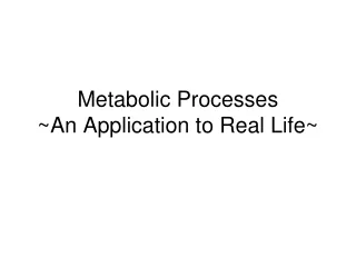Metabolic Processes ~An Application to Real Life~