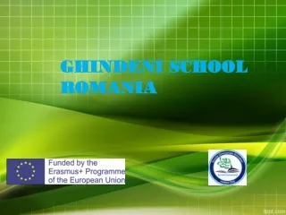 GHINDENI SCHOOL ROMANIA