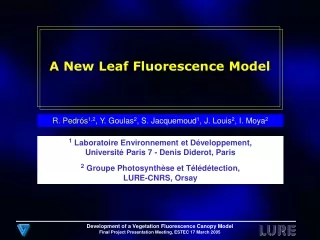 A New Leaf Fluorescence Model