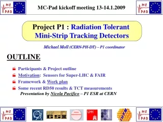 Michael Moll  (CERN-PH-DT) – P1 coordinator