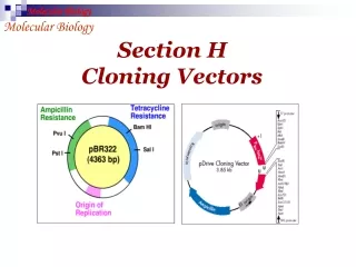 Section H   Cloning Vectors