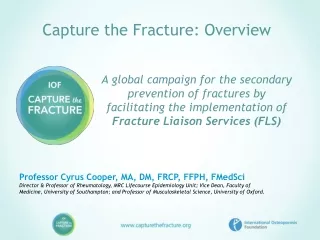 Capture the Fracture: Overview