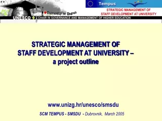 STRATEGIC MANAGEMENT OF STAFF DEVELOPMENT  AT UNIVERSITY – a project outline