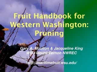 Fruit Handbook for Western Washington: Pruning
