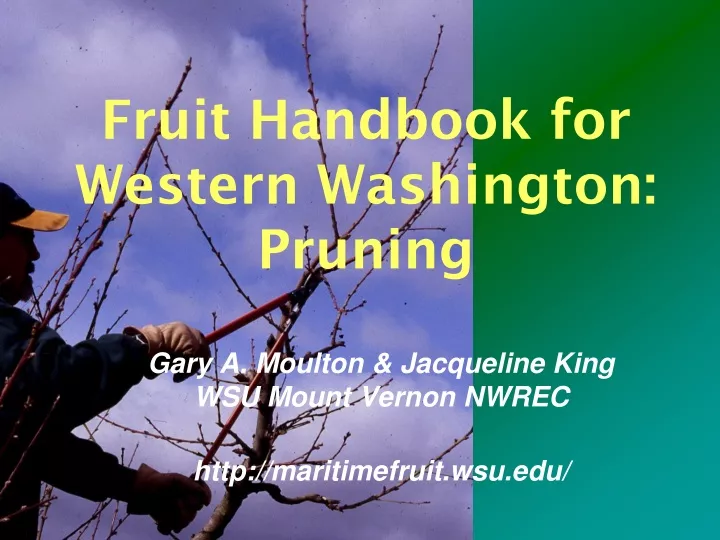 fruit handbook for western washington pruning