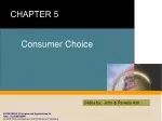 Consumer Choice - slide 1