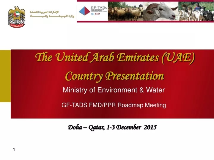 the united arab emirates uae country presentation