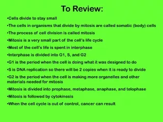 To Review: Cells divide to stay small