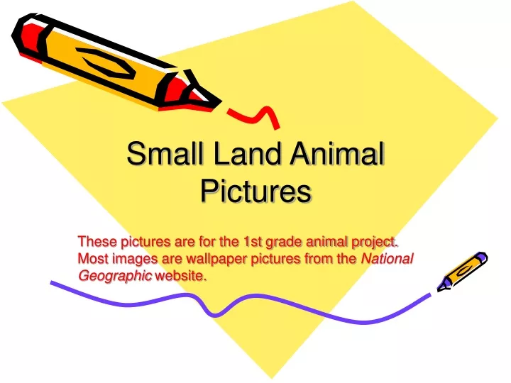small land animal pictures