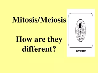 Mitosis/Meiosis How are they different?