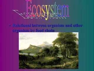Relational between organism and other organism by food chain