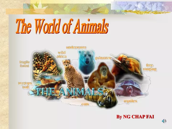 the world of animals