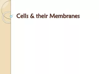 Cells &amp; their Membranes